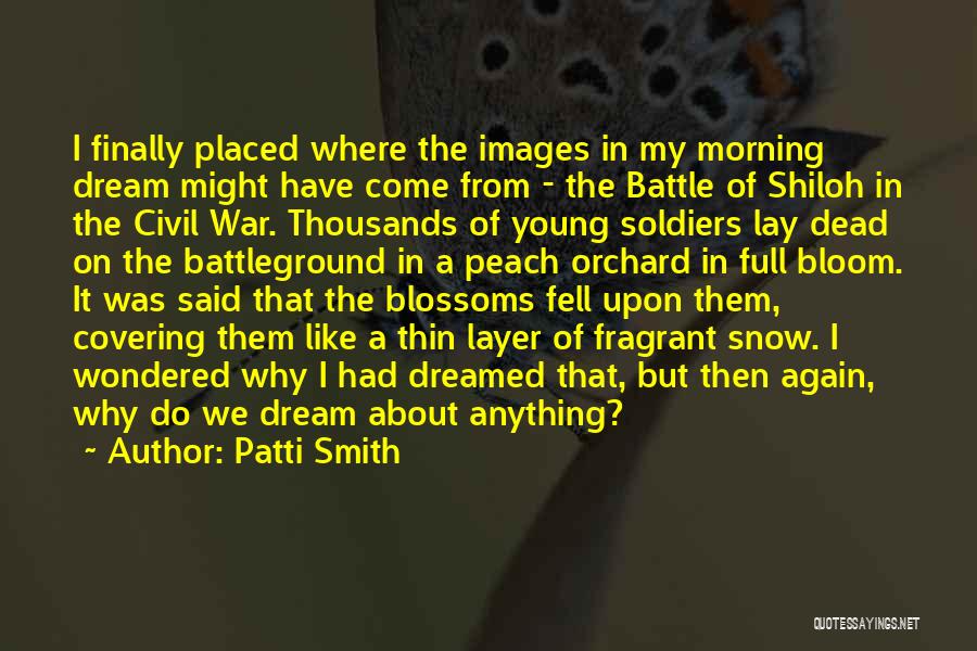 Civil War Soldiers Quotes By Patti Smith