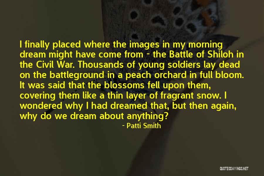 Civil War Soldiers Quotes By Patti Smith