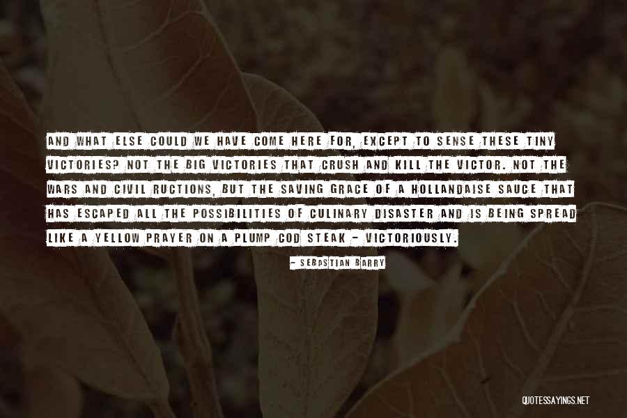 Civil Wars Quotes By Sebastian Barry Civil Wars Quotes By Sebastian Barry