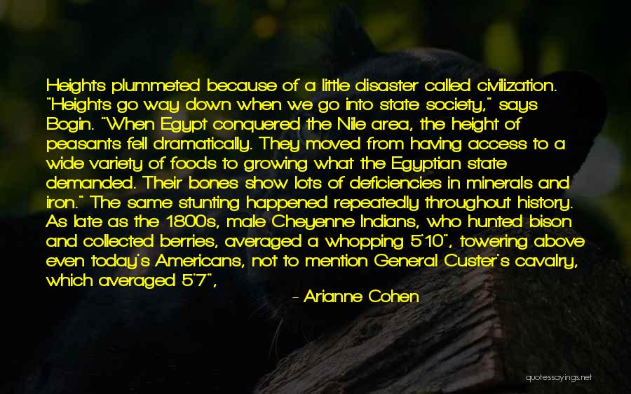 Civilization 5 Quotes By Arianne Cohen