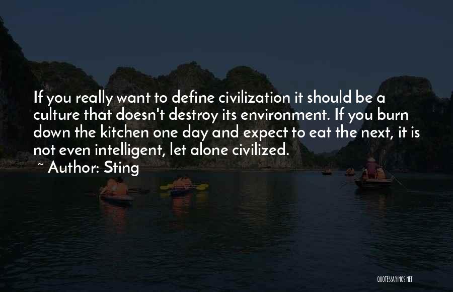 Civilized Culture Quotes By Sting
