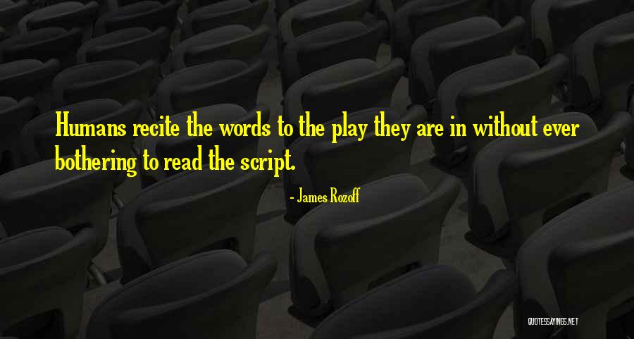 Claffy Swimming Quotes By James Rozoff Claffy Swimming Quotes By James Rozoff