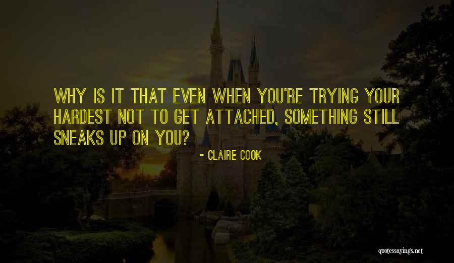 Claire Cook Quotes 1350938 Claire Cook Quotes 1350938