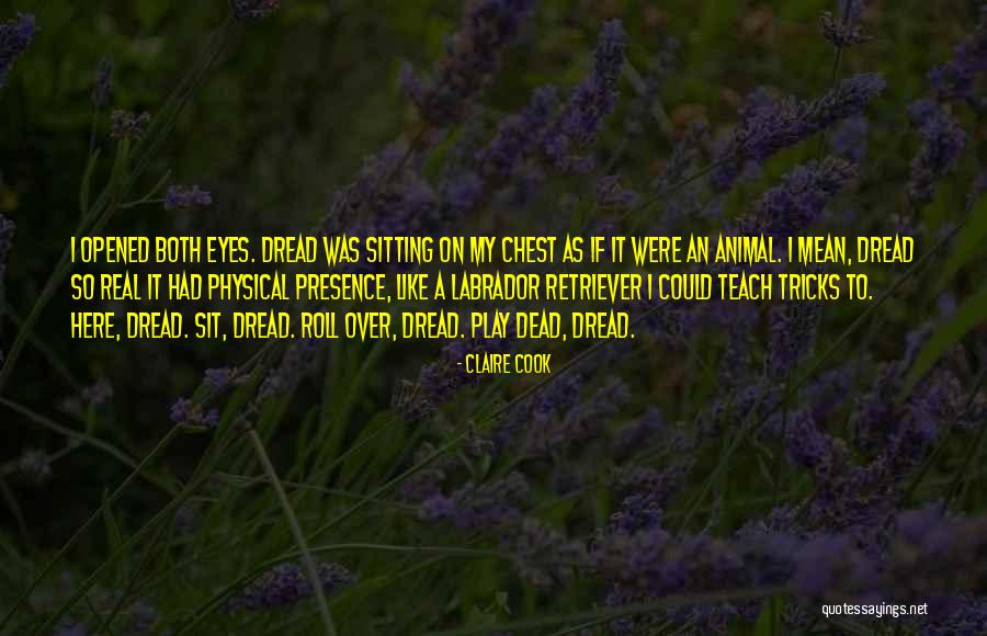Claire Cook Quotes 2096588 Claire Cook Quotes 2096588