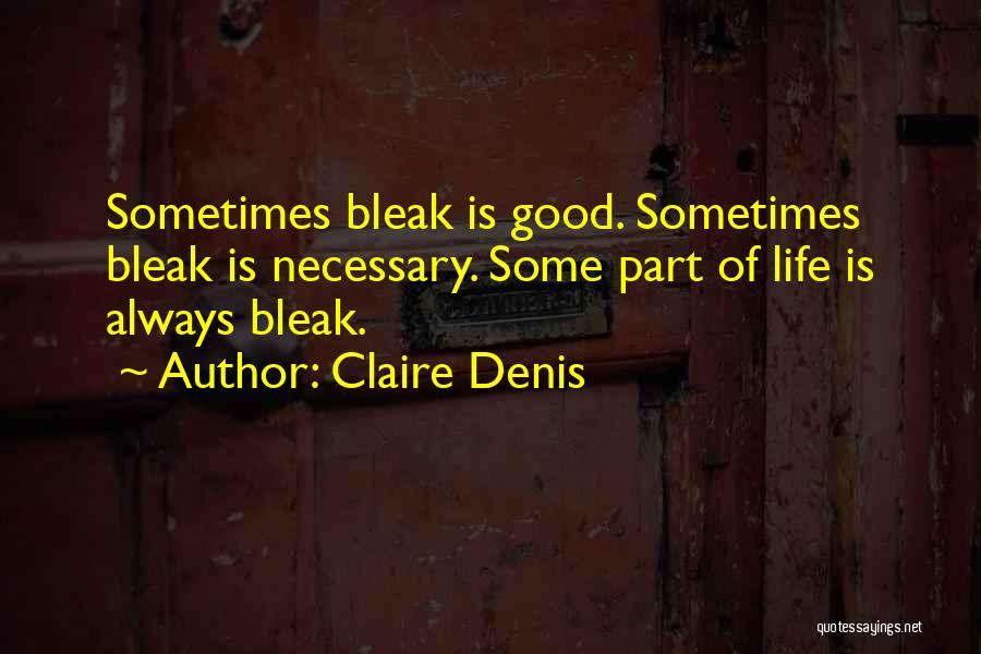 Claire Denis Quotes 2225795