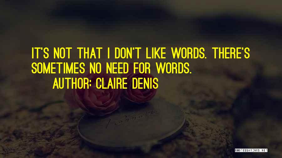 Claire Denis Quotes 956105