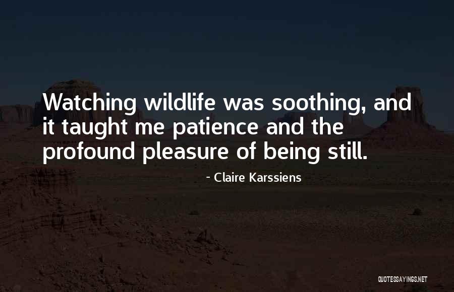 Claire Karssiens Quotes 1812648 Claire Karssiens Quotes 1812648