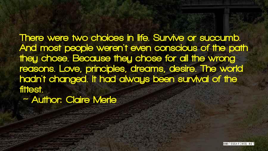 Claire Merle Quotes 252589