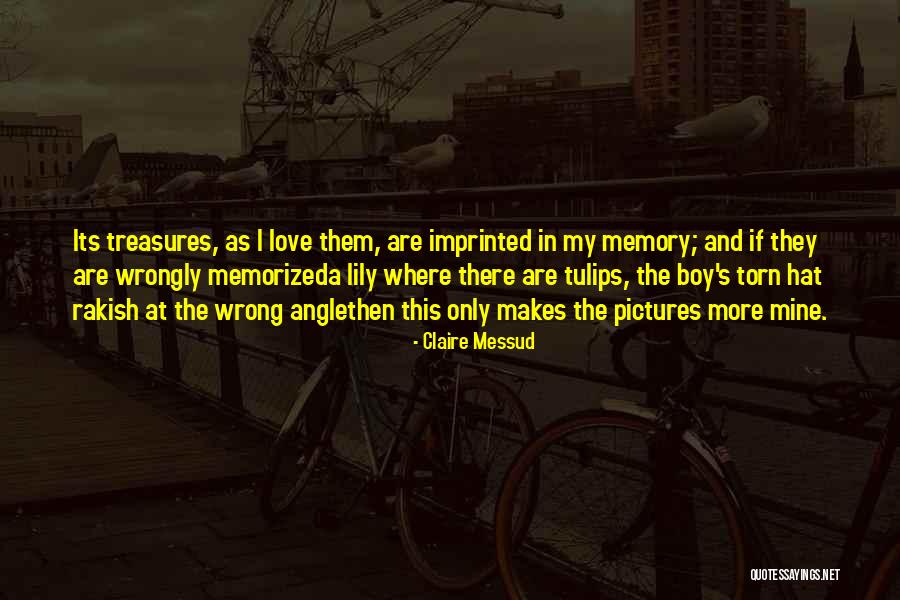 Claire Messud Quotes 1098876 Claire Messud Quotes 1098876