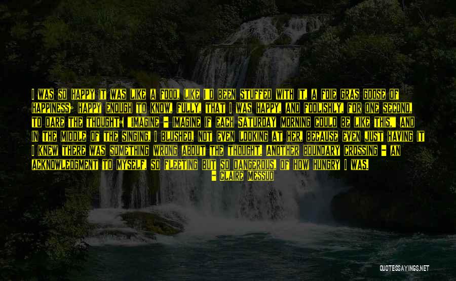Claire Messud Quotes 1888046 Claire Messud Quotes 1888046