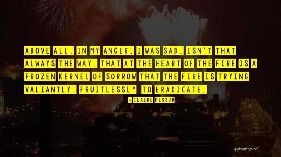 Claire Messud Quotes 331742 Claire Messud Quotes 331742
