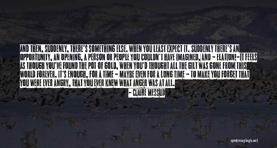 Claire Messud Quotes 522373 Claire Messud Quotes 522373