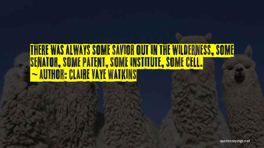 Claire Vaye Watkins Quotes 211846