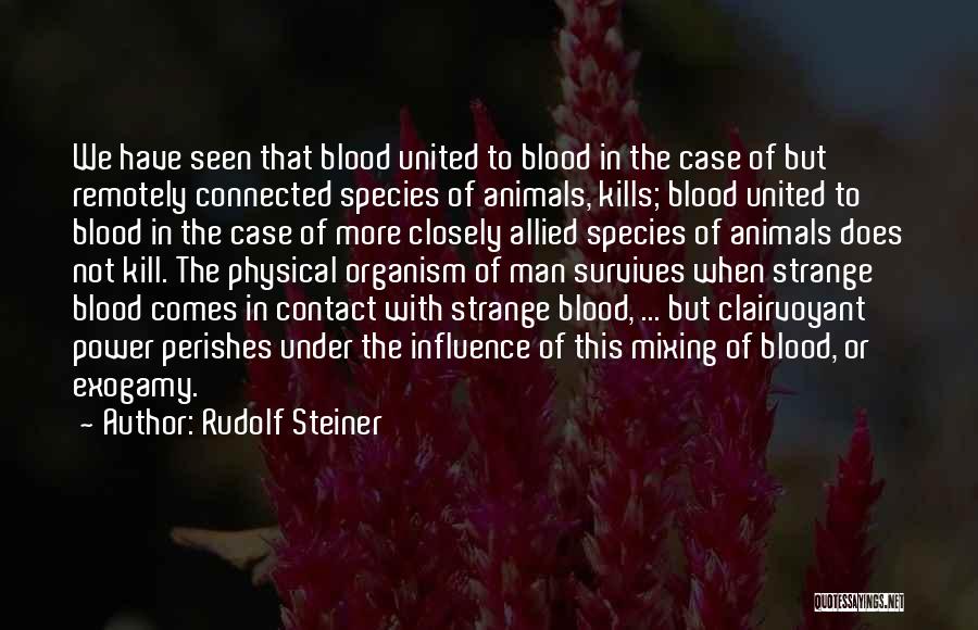 Clairvoyant Quotes By Rudolf Steiner