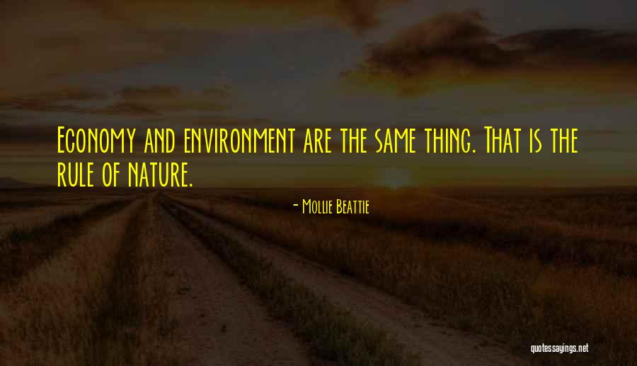 Claisse Fluxer Quotes By Mollie Beattie Claisse Fluxer Quotes By Mollie Beattie