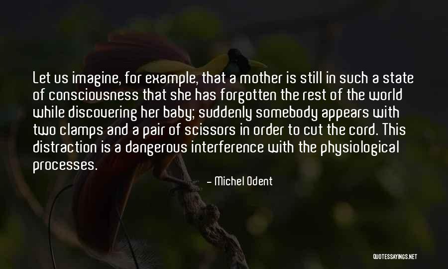 Clamps Quotes By Michel Odent Clamps Quotes By Michel Odent