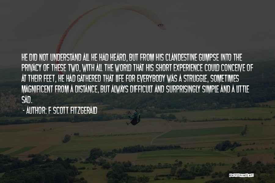 Clandestine Quotes By F Scott Fitzgerald