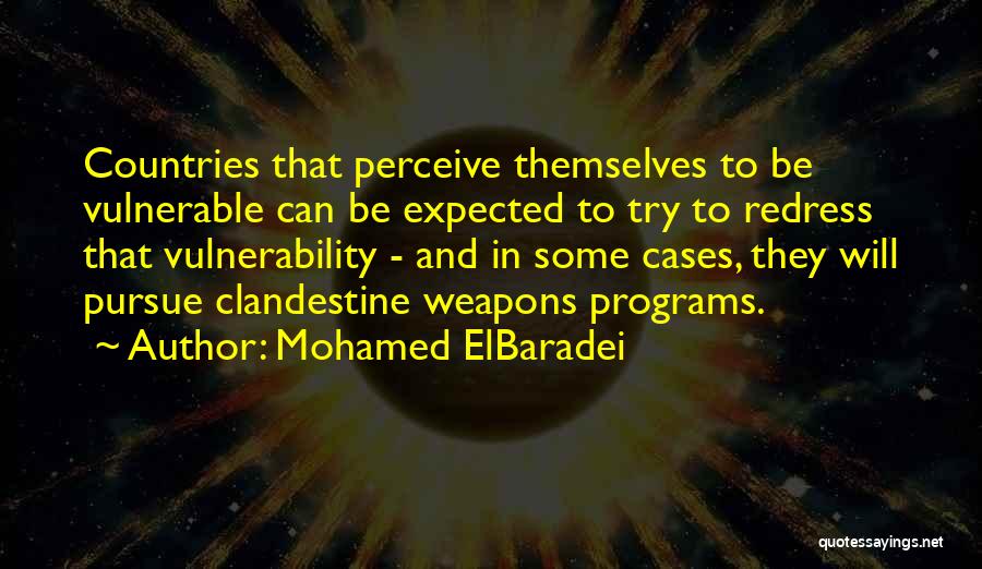Clandestine Quotes By Mohamed ElBaradei