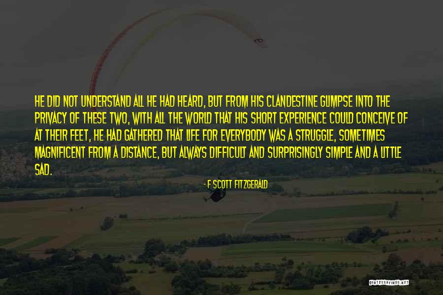 Clandestine Short Quotes By F Scott Fitzgerald Clandestine Short Quotes By F Scott Fitzgerald