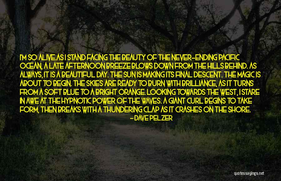 Clap Quotes By Dave Pelzer Clap Quotes By Dave Pelzer