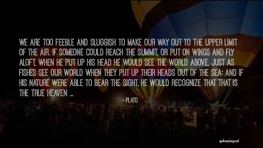 Claques Violentas Quotes By Plato Claques Violentas Quotes By Plato
