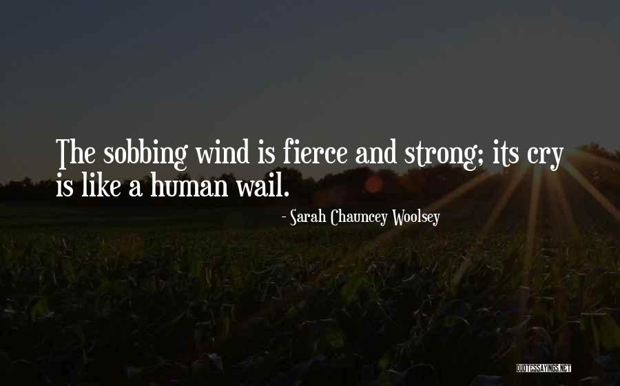 Clarebout Pierre Quotes By Sarah Chauncey Woolsey