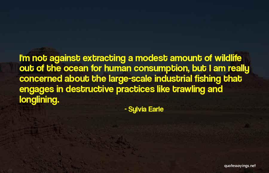 Clarencio Otimista Quotes By Sylvia Earle Clarencio Otimista Quotes By Sylvia Earle