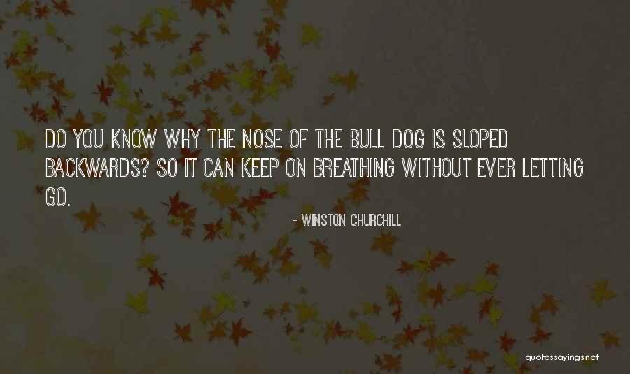Clarette Wine Quotes By Winston Churchill Clarette Wine Quotes By Winston Churchill