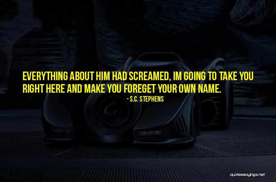 Clarimax Quotes By S.C. Stephens Clarimax Quotes By S.C. Stephens