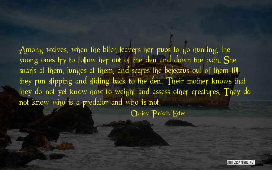 Clarissa Estes Pinkola Quotes By Clarissa Pinkola Estes Clarissa Estes Pinkola Quotes By Clarissa Pinkola Estes