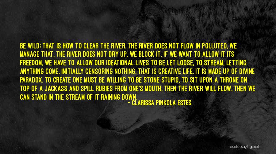 Clarissa Pinkola Estes Quotes 1345698 Clarissa Pinkola Estes Quotes 1345698