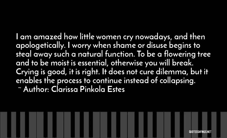 Clarissa Pinkola Estes Quotes 2000155