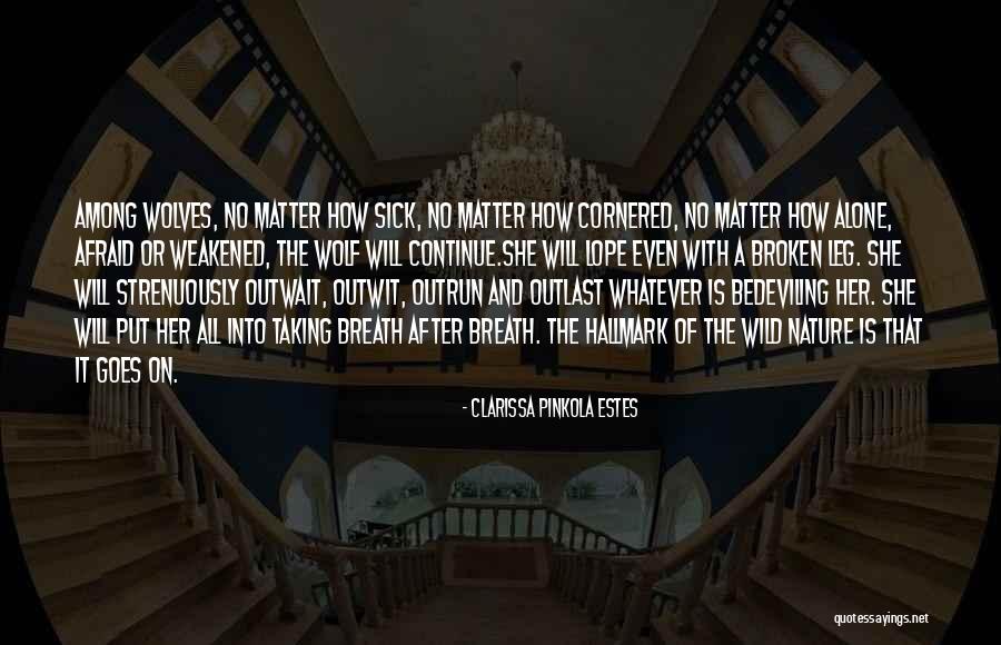 Clarissa Pinkola Estes Quotes 306861 Clarissa Pinkola Estes Quotes 306861