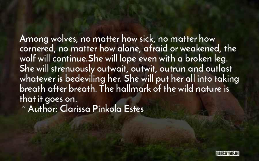 Clarissa Pinkola Quotes By Clarissa Pinkola Estes