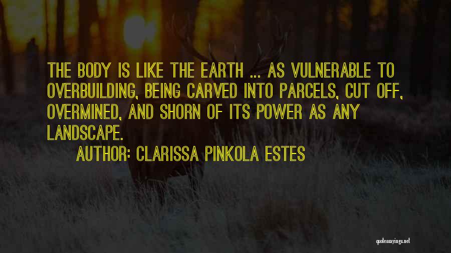 Clarissa Pinkola Quotes By Clarissa Pinkola Estes