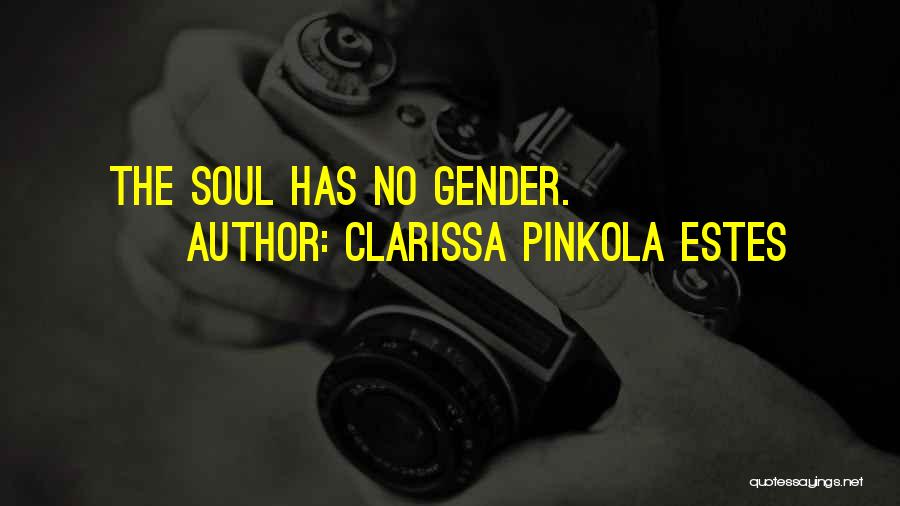 Clarissa Quotes By Clarissa Pinkola Estes