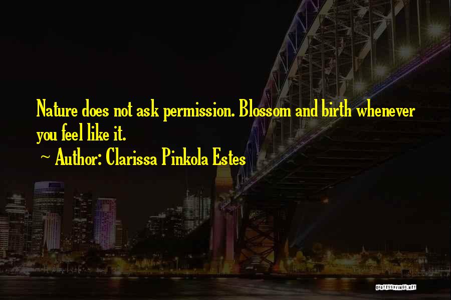 Clarissa Quotes By Clarissa Pinkola Estes