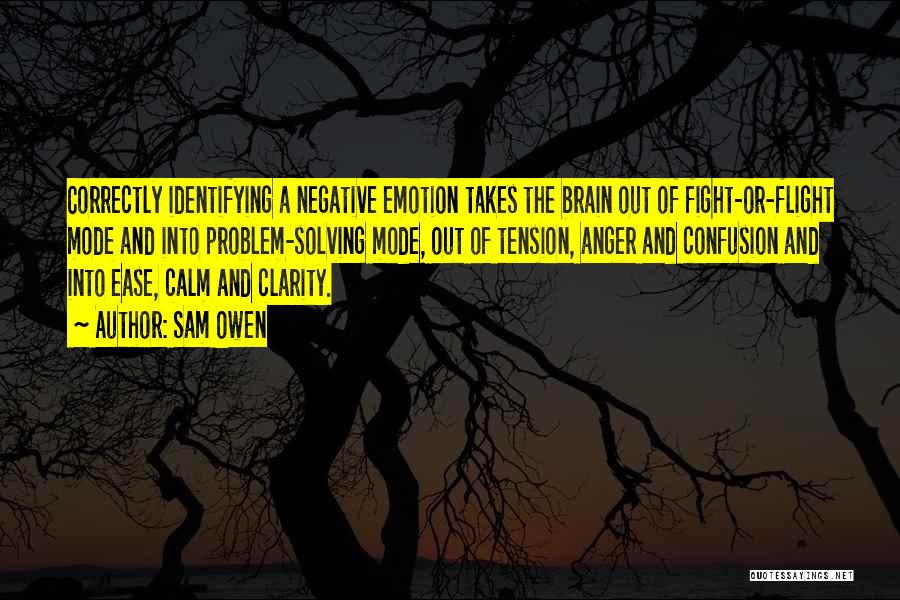 Clarity And Confusion Quotes By Sam Owen
