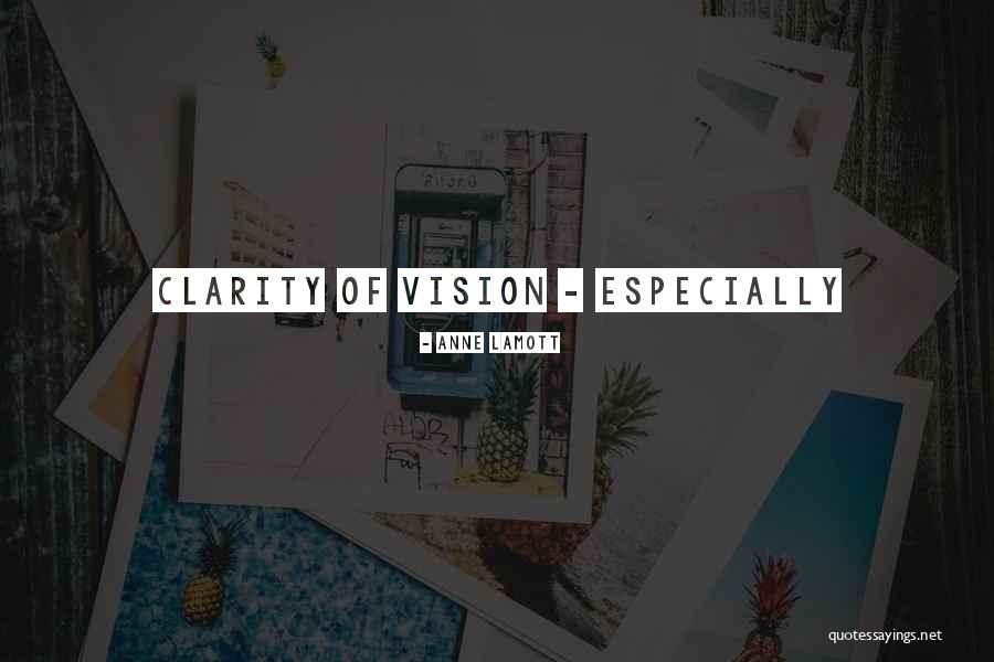 Clarity Of Vision Quotes By Anne Lamott Clarity Of Vision Quotes By Anne Lamott