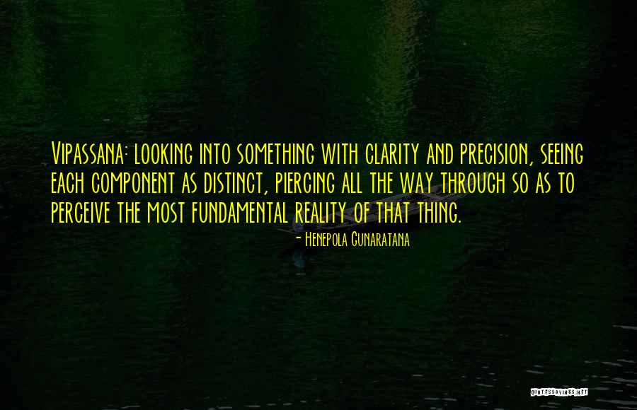 Clarity Of Vision Quotes By Henepola Gunaratana Clarity Of Vision Quotes By Henepola Gunaratana