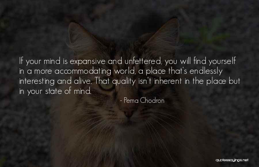 Clasicor Quotes By Pema Chodron Clasicor Quotes By Pema Chodron