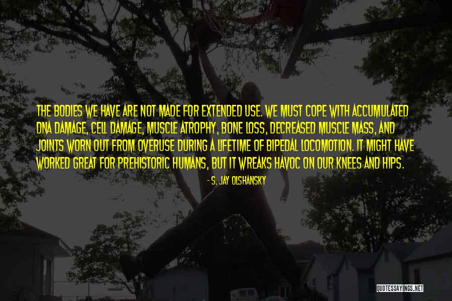 Clasificacion Quotes By S. Jay Olshansky Clasificacion Quotes By S. Jay Olshansky