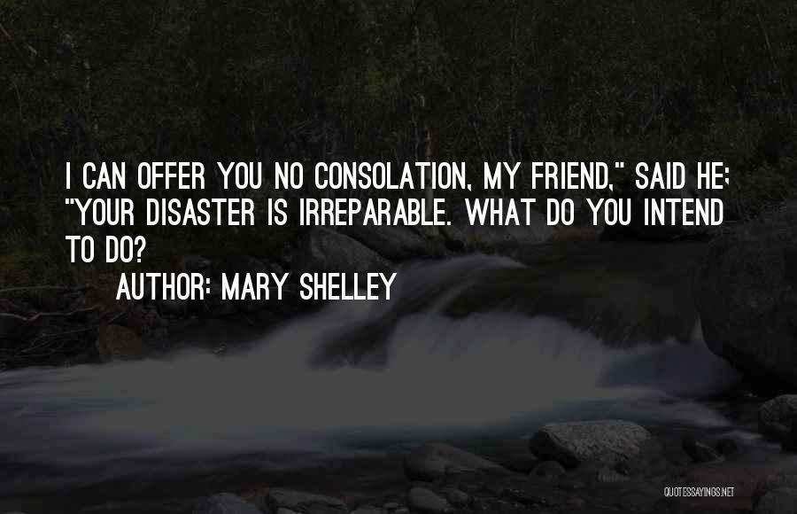 Clasificaciones Del Quotes By Mary Shelley