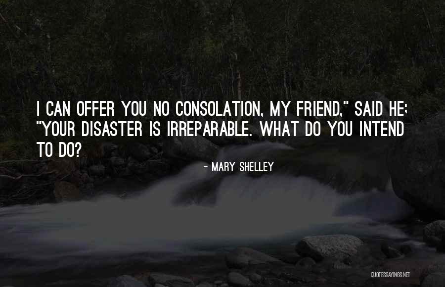 Clasificaciones Del Quotes By Mary Shelley