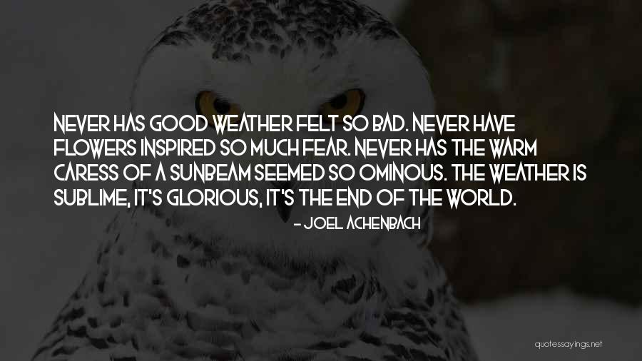 Clasps And Closures Quotes By Joel Achenbach Clasps And Closures Quotes By Joel Achenbach