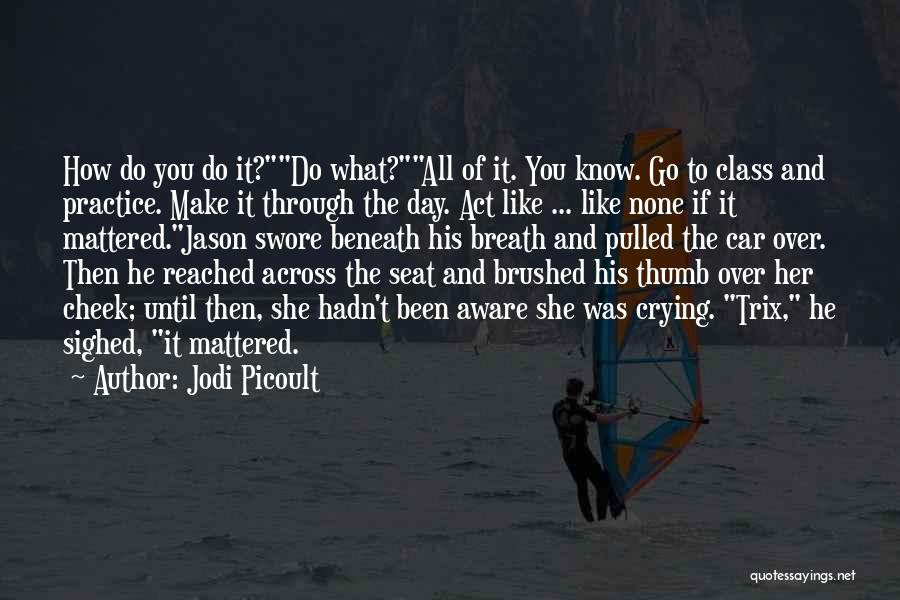 Class Act Quotes By Jodi Picoult