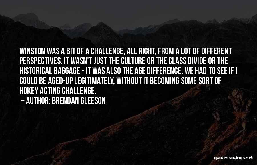 Class Divide Quotes By Brendan Gleeson