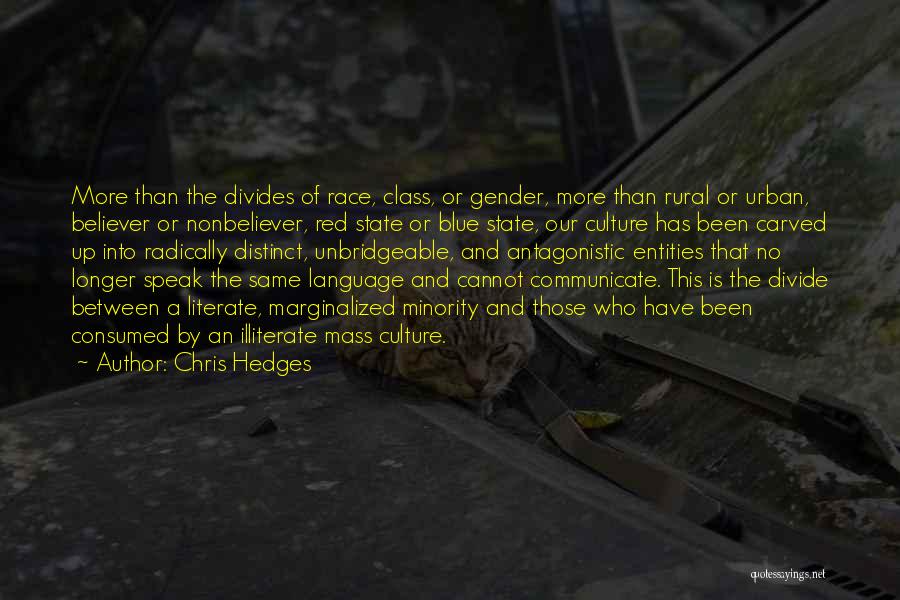 Class Divide Quotes By Chris Hedges