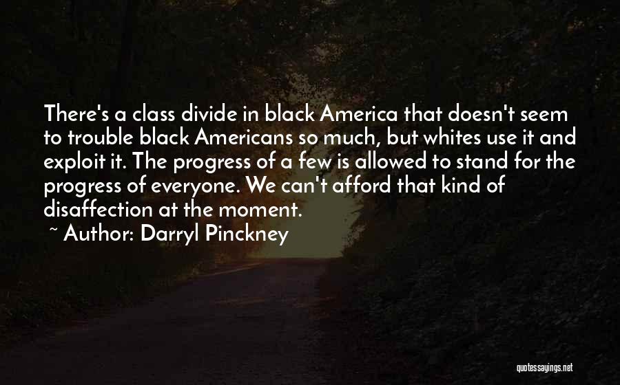 Class Divide Quotes By Darryl Pinckney