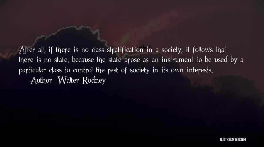 Class Stratification Quotes By Walter Rodney